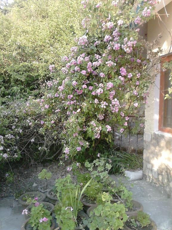 Cosmos Himalayan Villas Ranikhet Εξωτερικό φωτογραφία